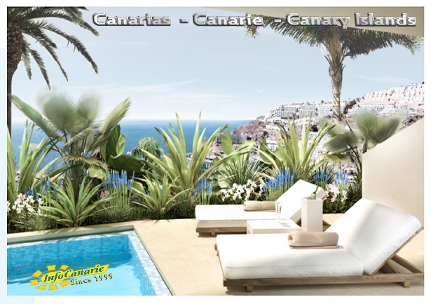 Immobiliare di Lusso alle Canarie Luxury REal Estate Canarias Proiezioni per il 2024 ed anni a seguire.