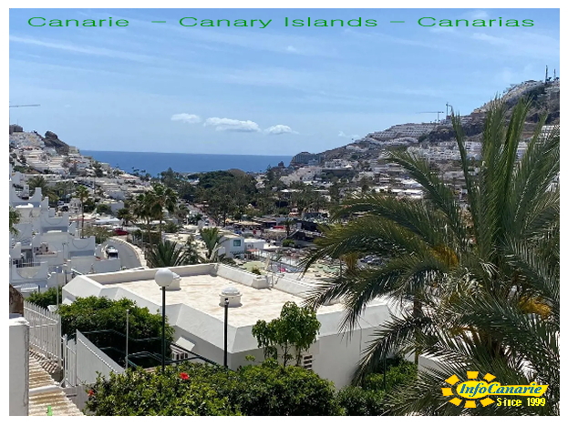 InfoCanarie Canarie infocanarie canarias Canaries Canary Islands foto photo 4