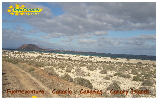 InfoCanarie Fuerteventura Canarie Canarias fuerte ventura Canary Islands