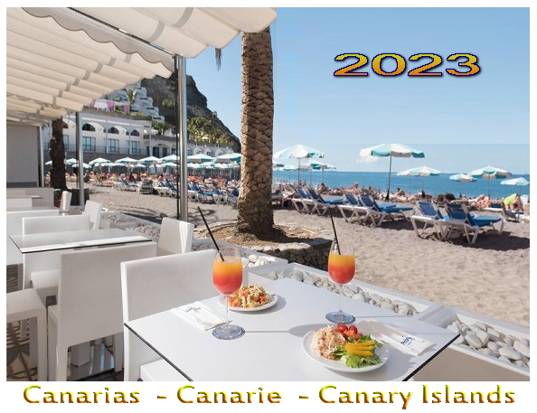 Info Canarie 2023 tenerife Canarias Canary Islands InfoCanarie