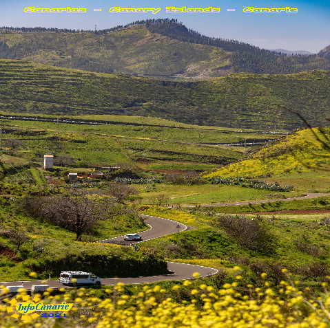 ambiente canarie info canarias medio ambiente canary islands