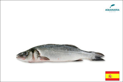 branzino