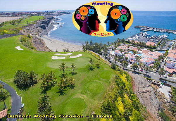 business meeting 1 2 1 canaries info canarie canary Islands