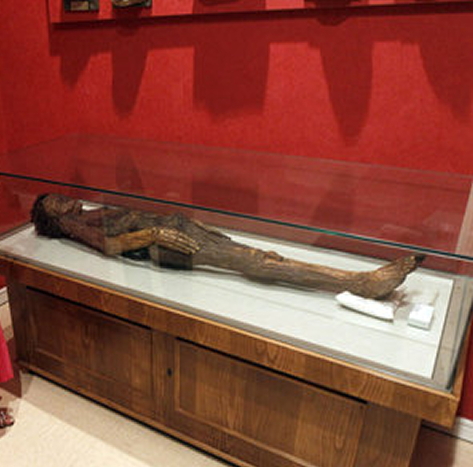 canarie storia mummia guanche