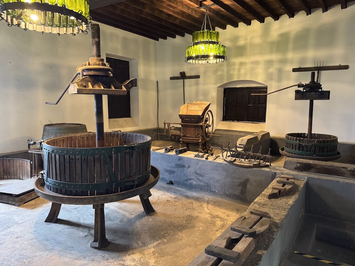 turismo esperienziale alle canarie con visite a cantine malghe caseifici coltivazioni caffè bananeti vitigni