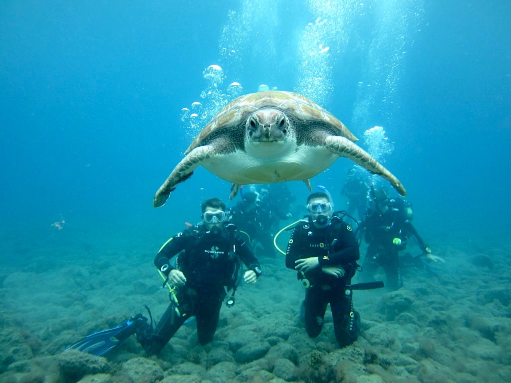 diving sub canarie