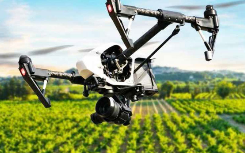 droni canarie agricultura vigne