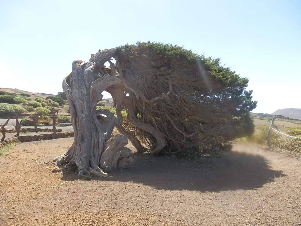 el hierro Canarias Info Canarie