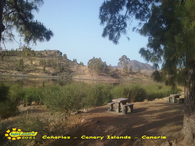 info canarie ambiente natura canarias naturaleza turismo canary islands nature