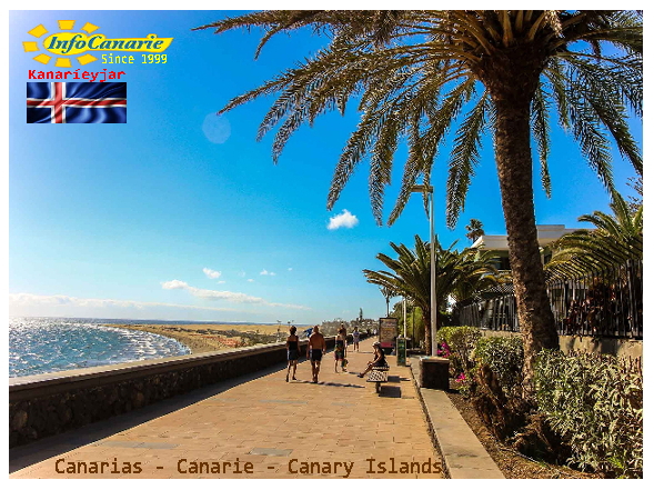 le isole canarie guardano al mercato islandese Canary Islands looking for Island market