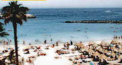 spiaggia de las vistas, los cristianos, playa lobos, playa trya