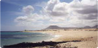 SCARICARE FUERTEVENTURA GUIDA TURISTICA DA