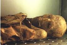 mummia-guanci
