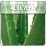 pr_aloe